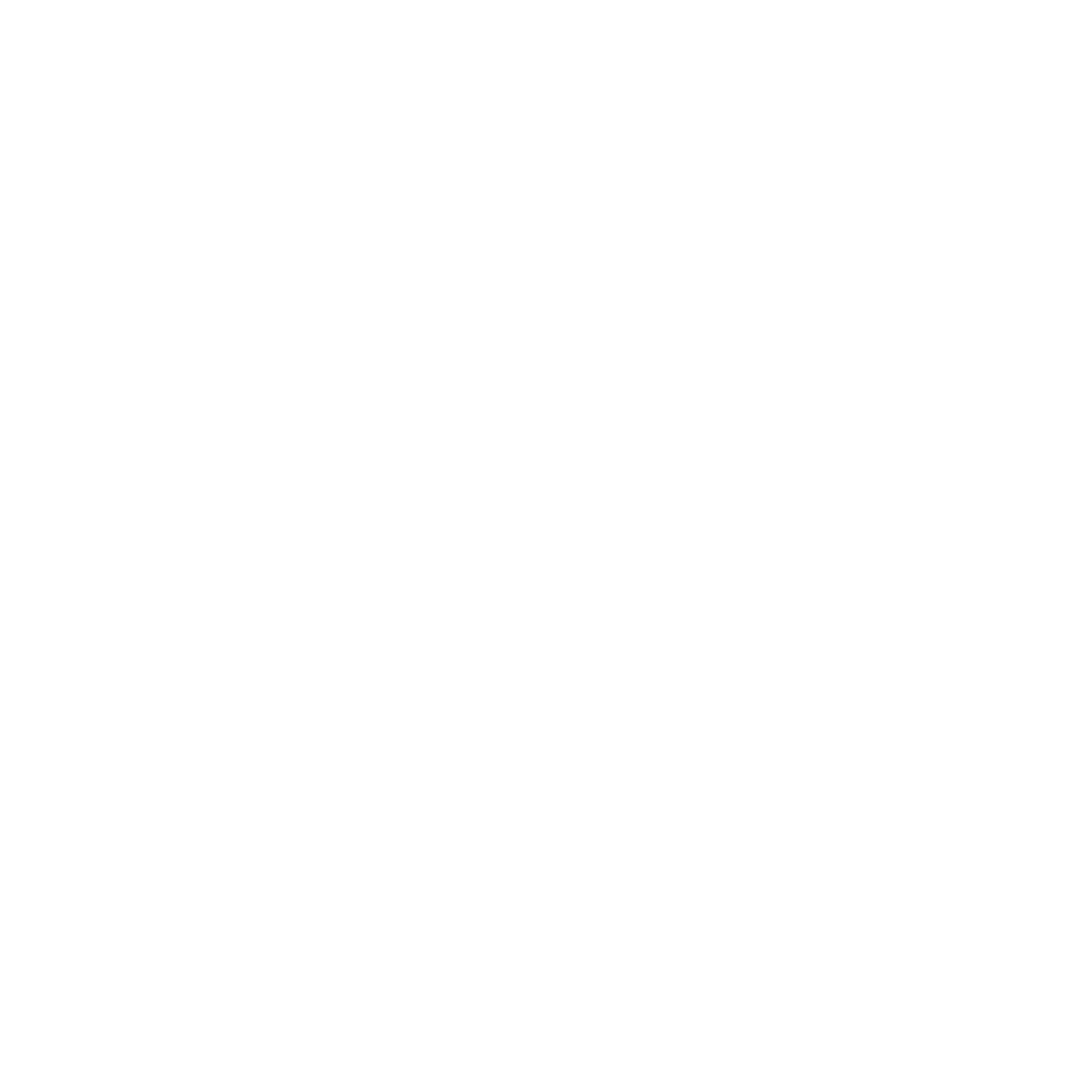 IATA Logo